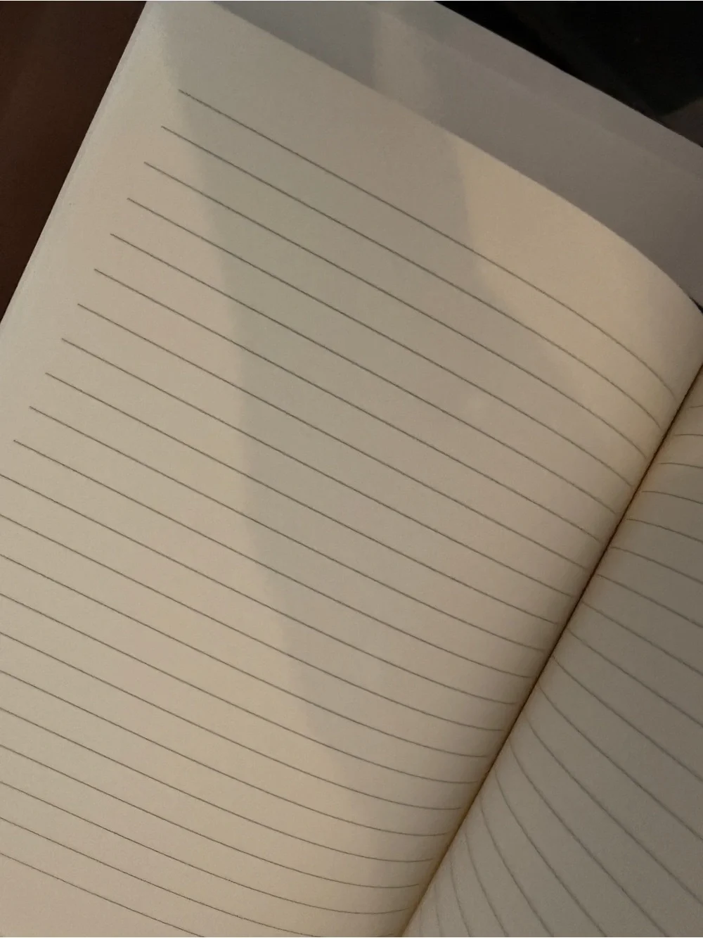 Rustcio Leather Lined Journal – Western Ranch Style Notebook, 6666‎ Ranch
